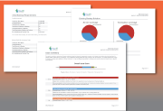 IT SWOT Analysis IT SWOT Analysis