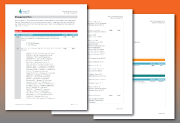 Network Management Plan Network Management Plan