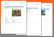 Quarterly Business Review Report Quarterly Business Review R