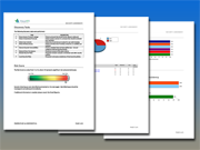 Security Assessment 
											sample reports