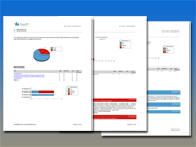External Vulnerability Scan Detail by Issue Report. External